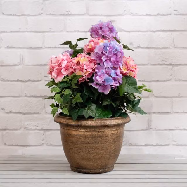 Scottish Everlastings Ltd Potted Pink and Purple Hydrangea Tabletop Floral Arrangement, Height: 55 cm