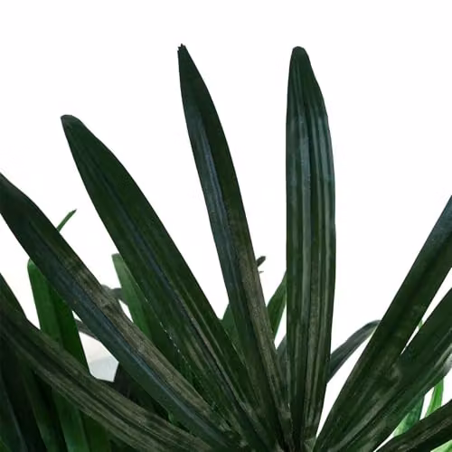 Leaf Large Green Artificial Palm Tree – 3