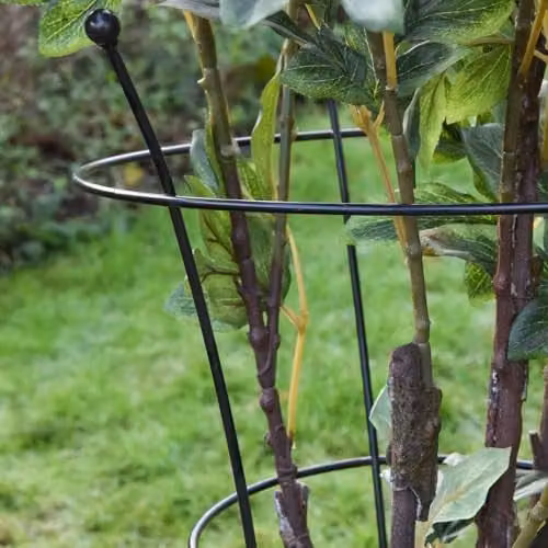 Garden Gear Black Steel Medium Peony Frame Outdoor Heavy Duty Herbaceous Garden Plant Support Ring, W: 34 cm, H: 63 cm – 3