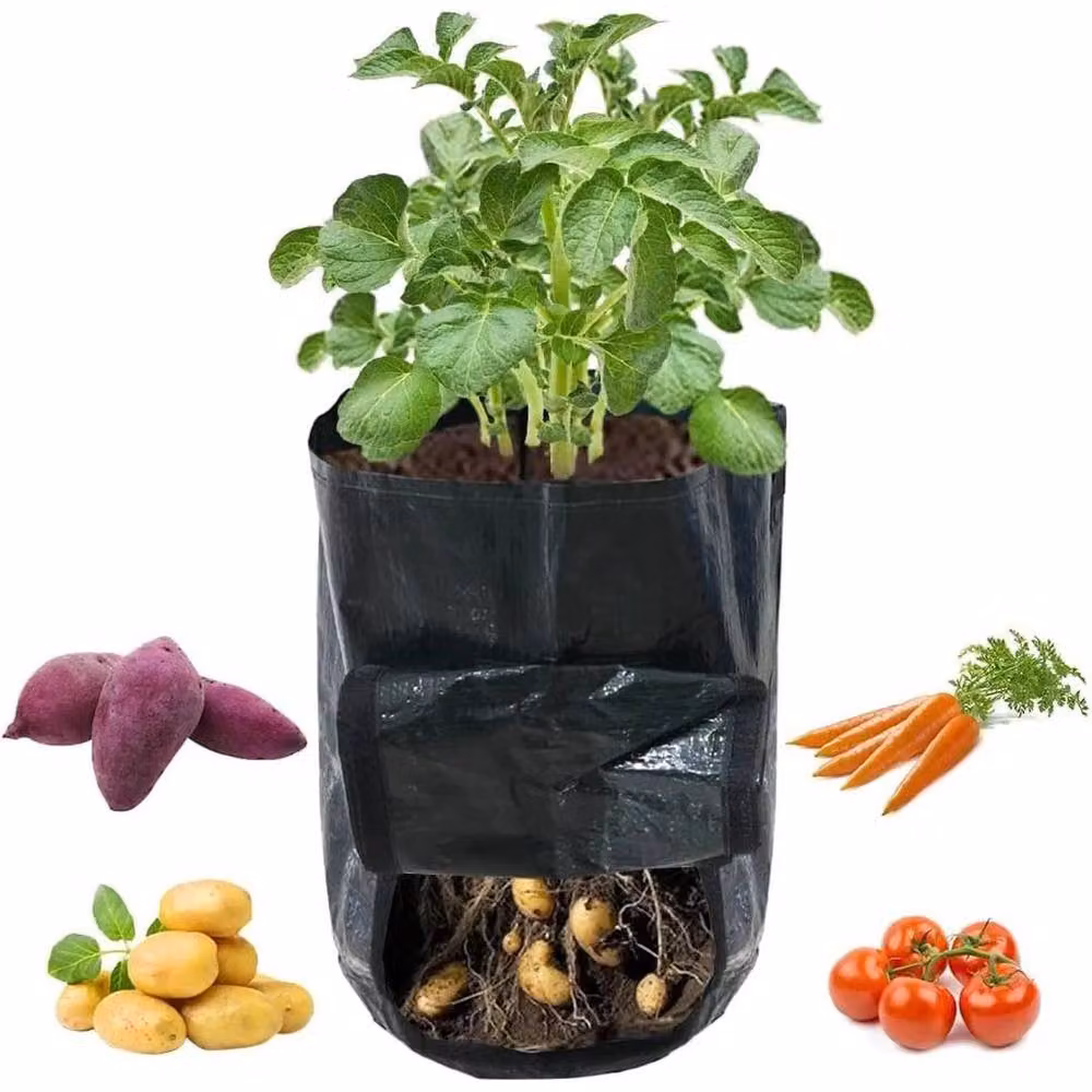 Hinsinc 4 Pack Green Potato and Vegetable Grow Planter Bags, 10 Gallon – 3