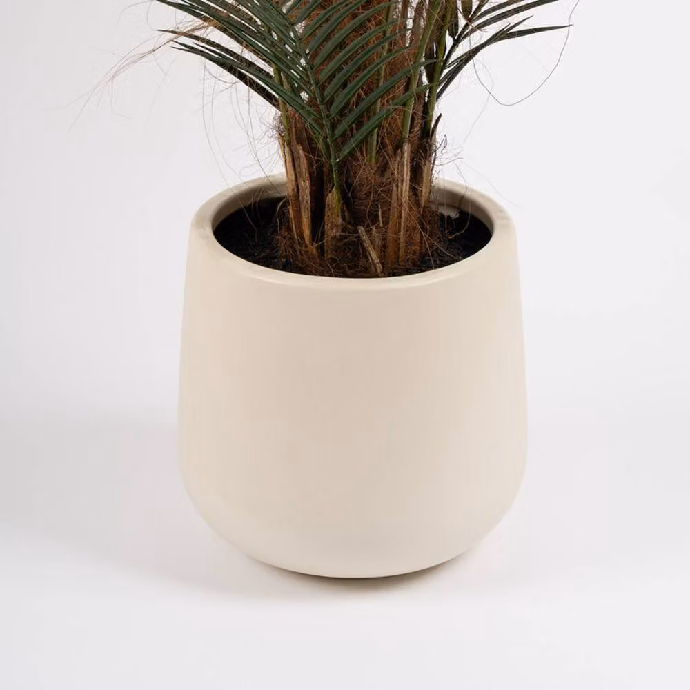 Scottish Everlastings Ltd 125 cm Palm Tree in a Green Round White Pot – 2