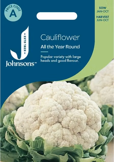 Johnsons Seeds Cauliflower All the Year Round White Vegetable Seeds