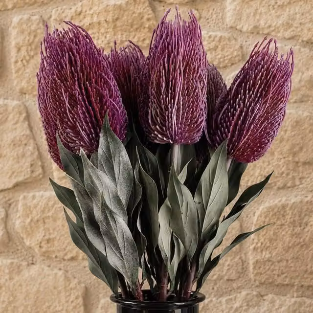 Leaf Botanik Pink Banksia Menziesii Artificial Flower Stems, Pack of 6, Height: 75 cm