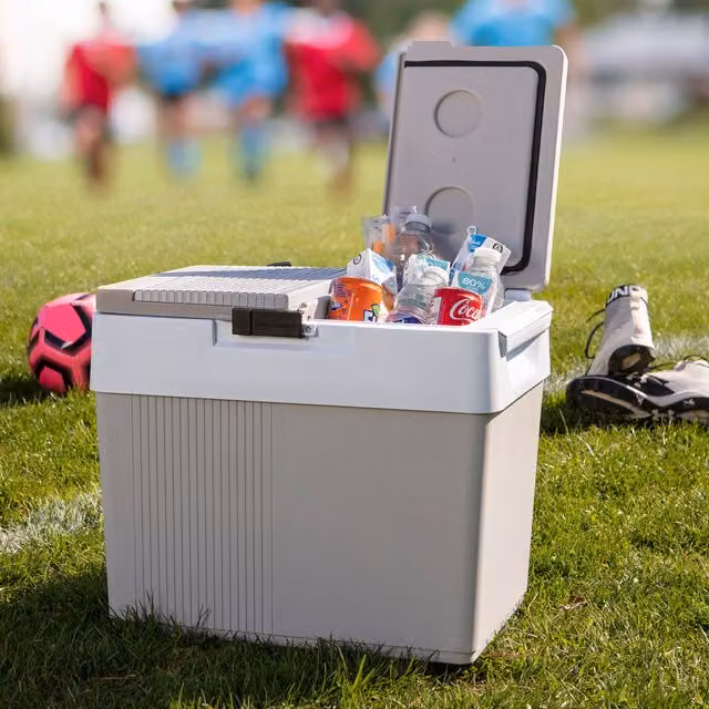 Koolatron 12V Electric Cool Box, 31L, Grey
