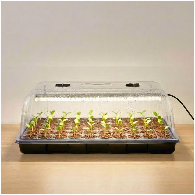 Plants By Post 26W LED Hard Top Propagation Kit with 104 Plugs in Black and Transparent