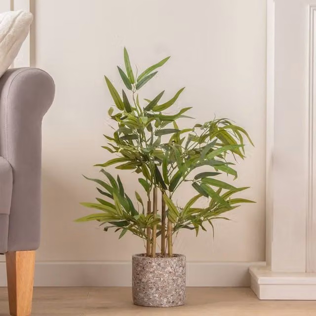 Scottish Everlastings Ltd Green Tabletop Bamboo in a Concrete Pot – 1