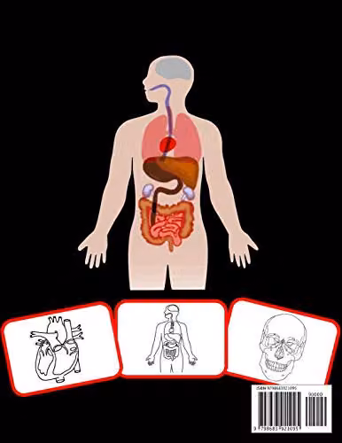 Anatomy Coloring Book for Children with Human Body Parts Images, 60 Pages, Multicolour – 2