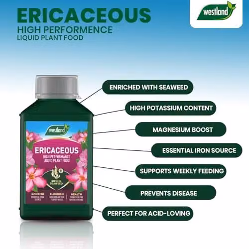 Westland Ericaceous Liquid Plant Food and Tonic, 1L – 6