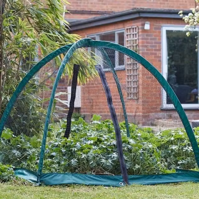 Garden Mile Green Freestanding Curved Dome Grow Cage Greenhouse, W/D/H: 120 x 120 x 120 cm