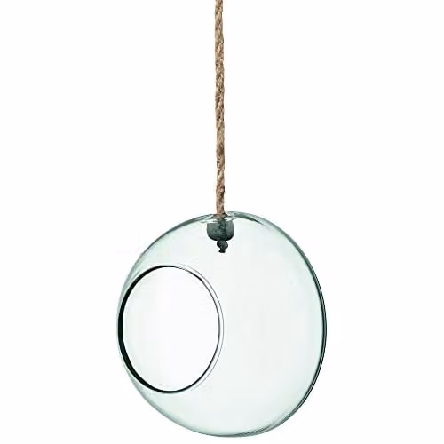 LSA Canopy Clear Glass Hanging Planter, 12cm