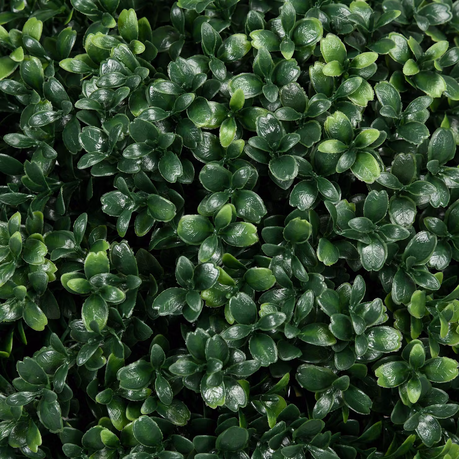 HOMCOM Set of 2 Green Artificial Ball Shaped Boxwood Topiary Trees with Ground Stakes – 7