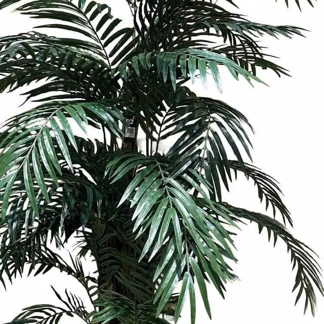 Botanik 210 cm Premium Fire-Retardant Artificial Areca Palm Tree in Green