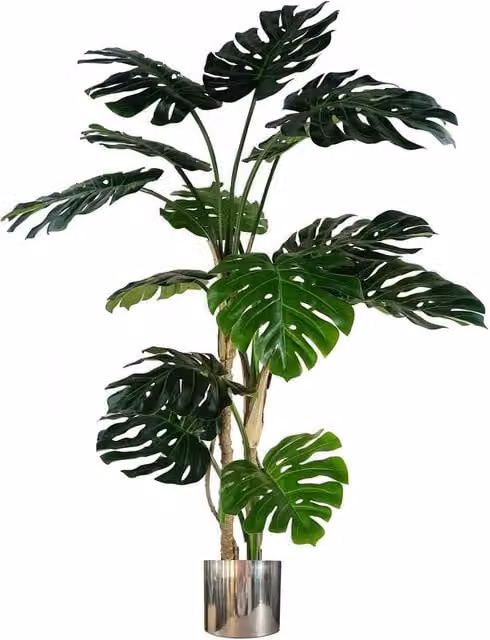 Leaf Botanik Artificial Luxury Monstera Plant in a Silver Metal Planter and Black Pot, Green, Height: 150 cm