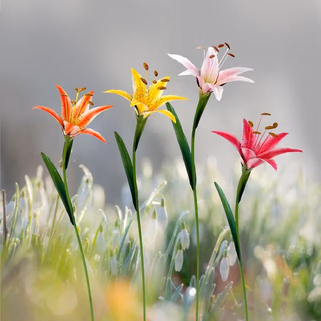 Ornate Collection Lily Garden Stake in Multicolour