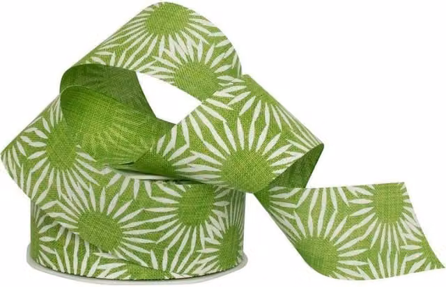KDMD Apple Green and White Sunburst Ribbon Party Decoration – 1