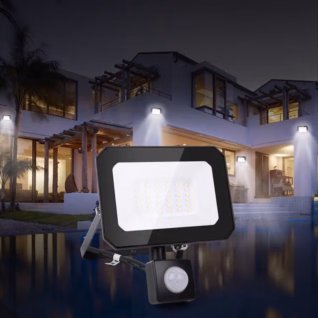 Alivio 30W Outdoor LED Floodlight in Black with Cool White Light