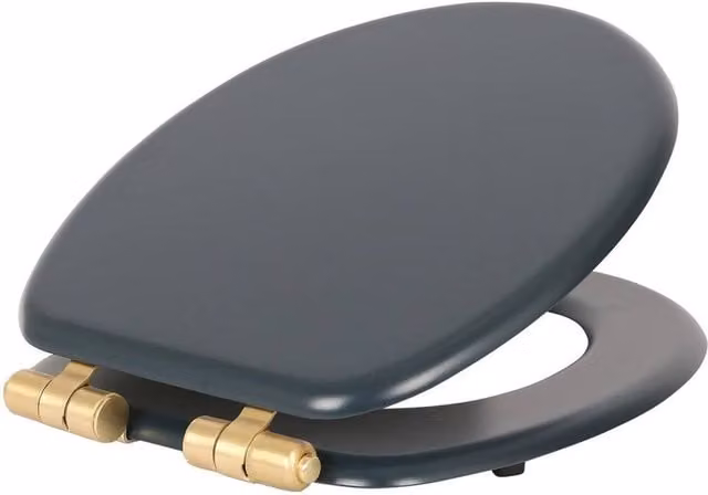 Kelvenix Soft Close Oval Toilet Seat in Navy Blue and Gold, W: 52 cm
