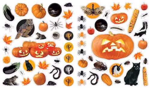 Workman Publishing Eyelike Halloween Stickers in Multicolour – 4