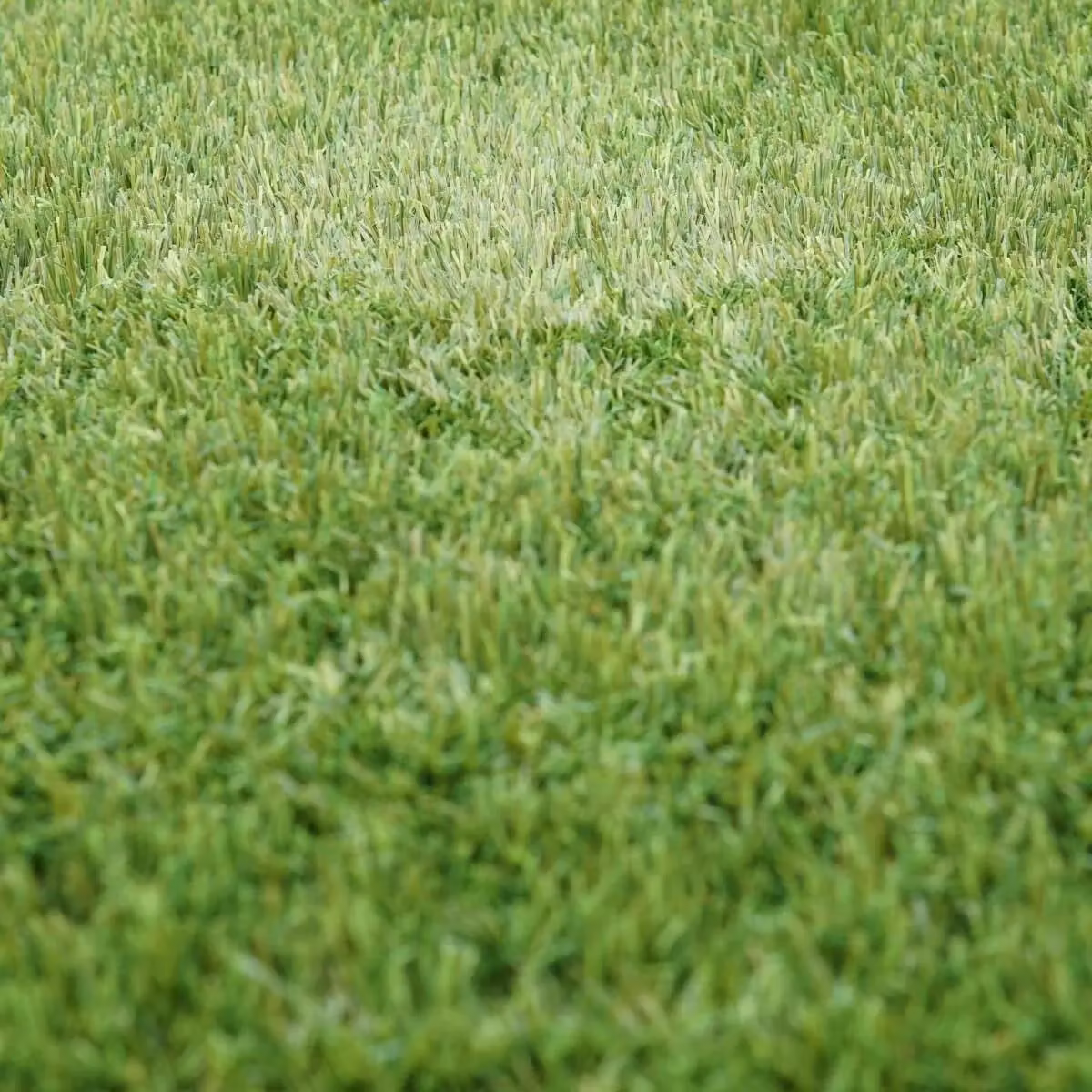 Artificial Grass GB Shamrock 40mm Artificial Grass in Green, W: 200 cm, L: 600 cm – 4