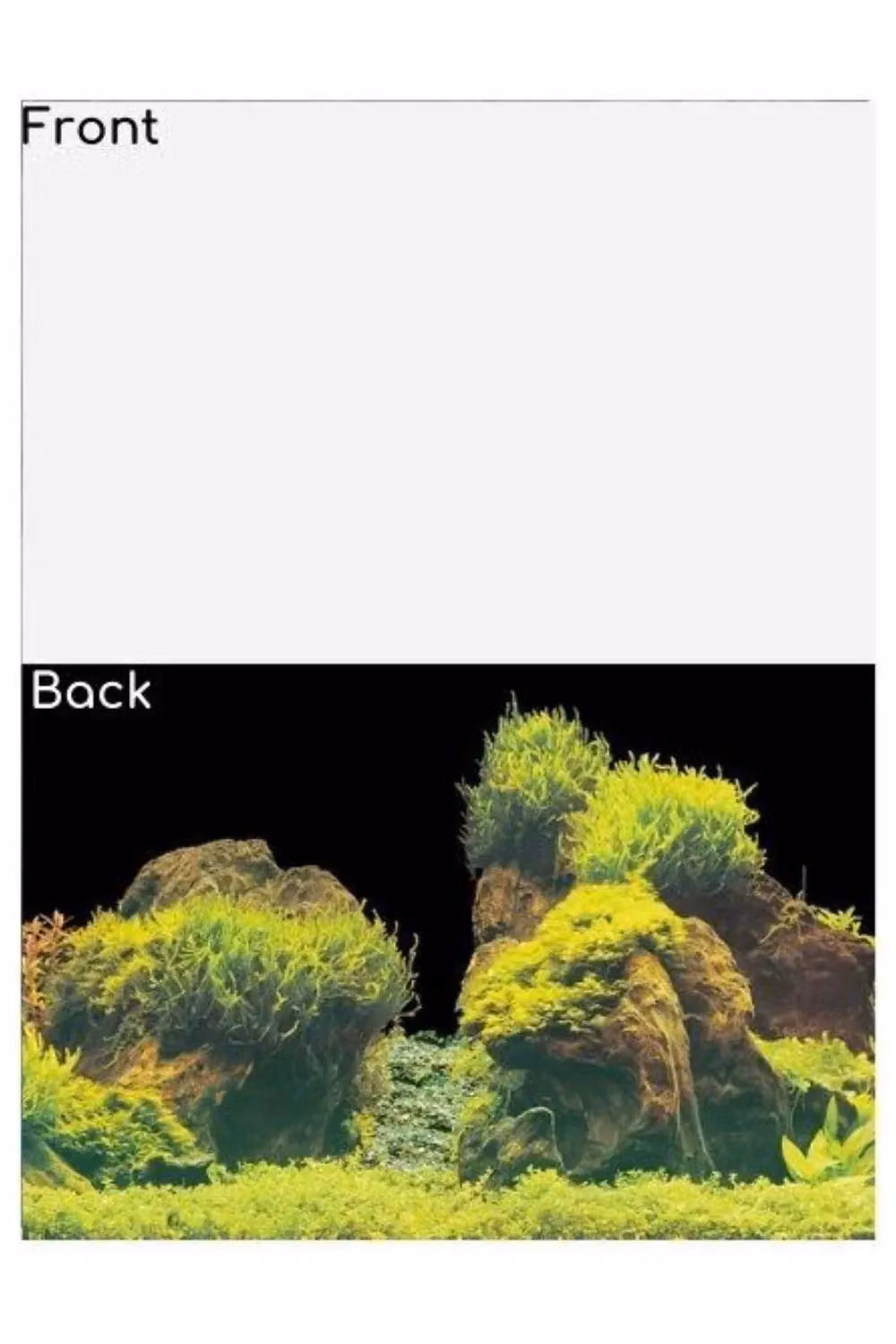 Superfish Deco Poster Double-Sided Aquarium Background Type E Multicolour W: 61.0 cm, H: 150.0 cm – 2
