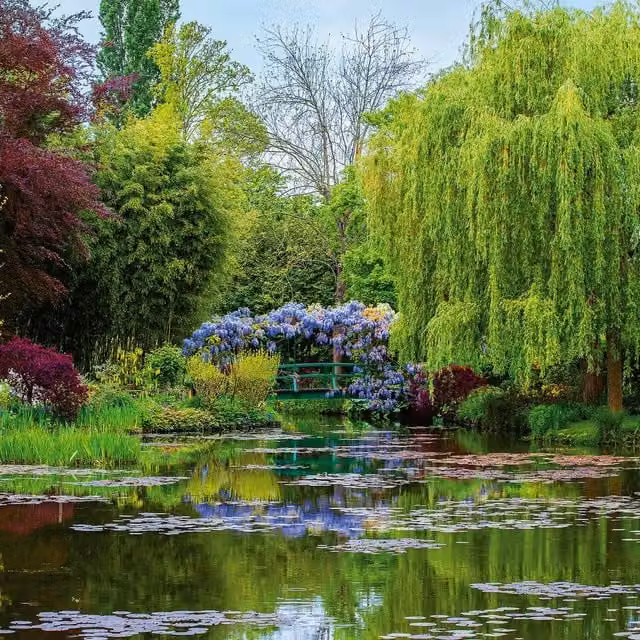 Monets Garden in France Floral Wall Mural in Green and Multicolour
