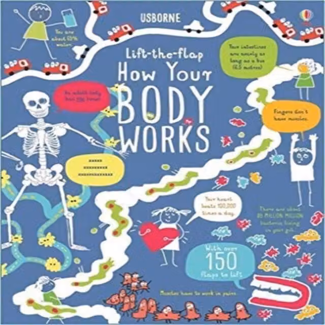 How Your Body Works Lift-the-Flap Board Book by Rosie Dickins, Multicolour