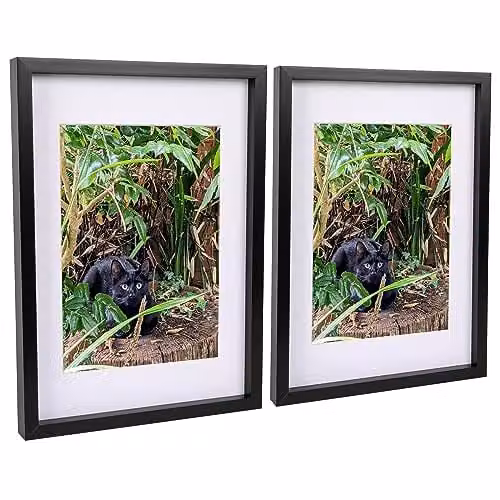 Nicola Spring 3D Shadow Box Photo Frames, Pack of 2, Black with White A4 Mounts, Rectangular Hanging Display Case – 1