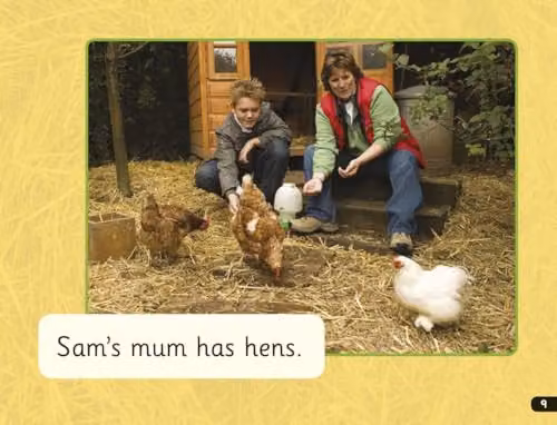 Read Write Inc. Phonics Hens Purple Set 2 Non-fiction 1 by Oxford University Press – 3