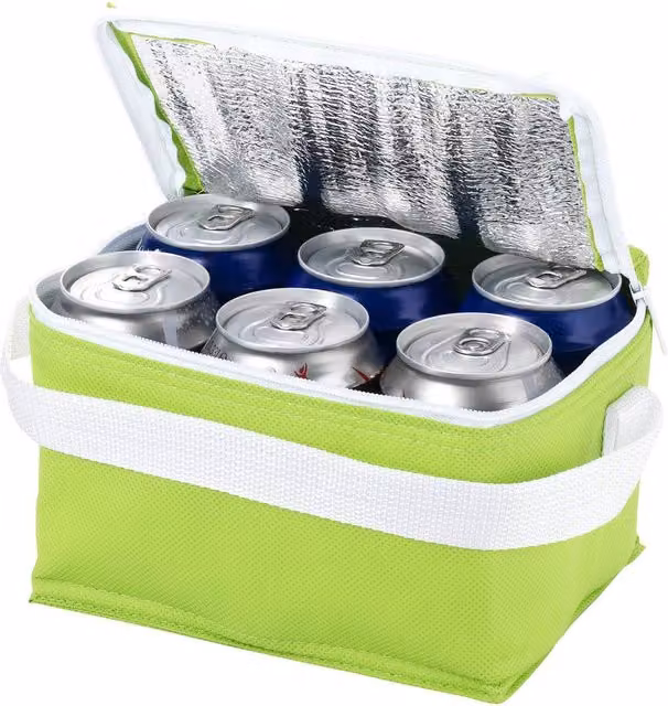 Bullet Spectrum 6 Can Cooler Bag, Pack of 2, Green