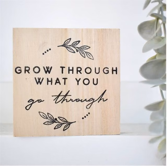 Amaya Rose Ltd Grow Through What You Go Through Solid Wood Wall Plaque Shelf Decor in Beige