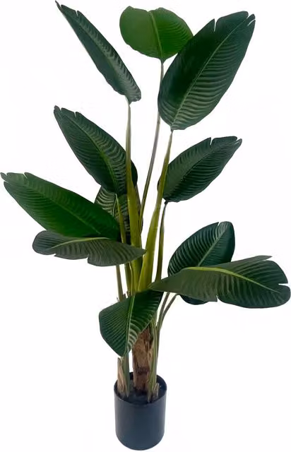 Leaf Design UK UV Resistant Traveller Banana Palm Tree, Green, Height: 70 cm