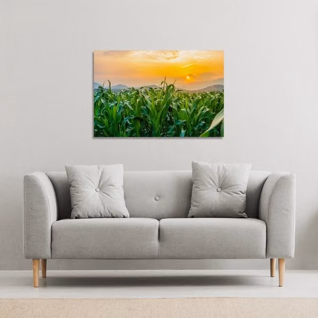 Benjamin Tate Design LTD Green Corn Field Landscape Canvas Print, W: 61 cm, H: 41 cm