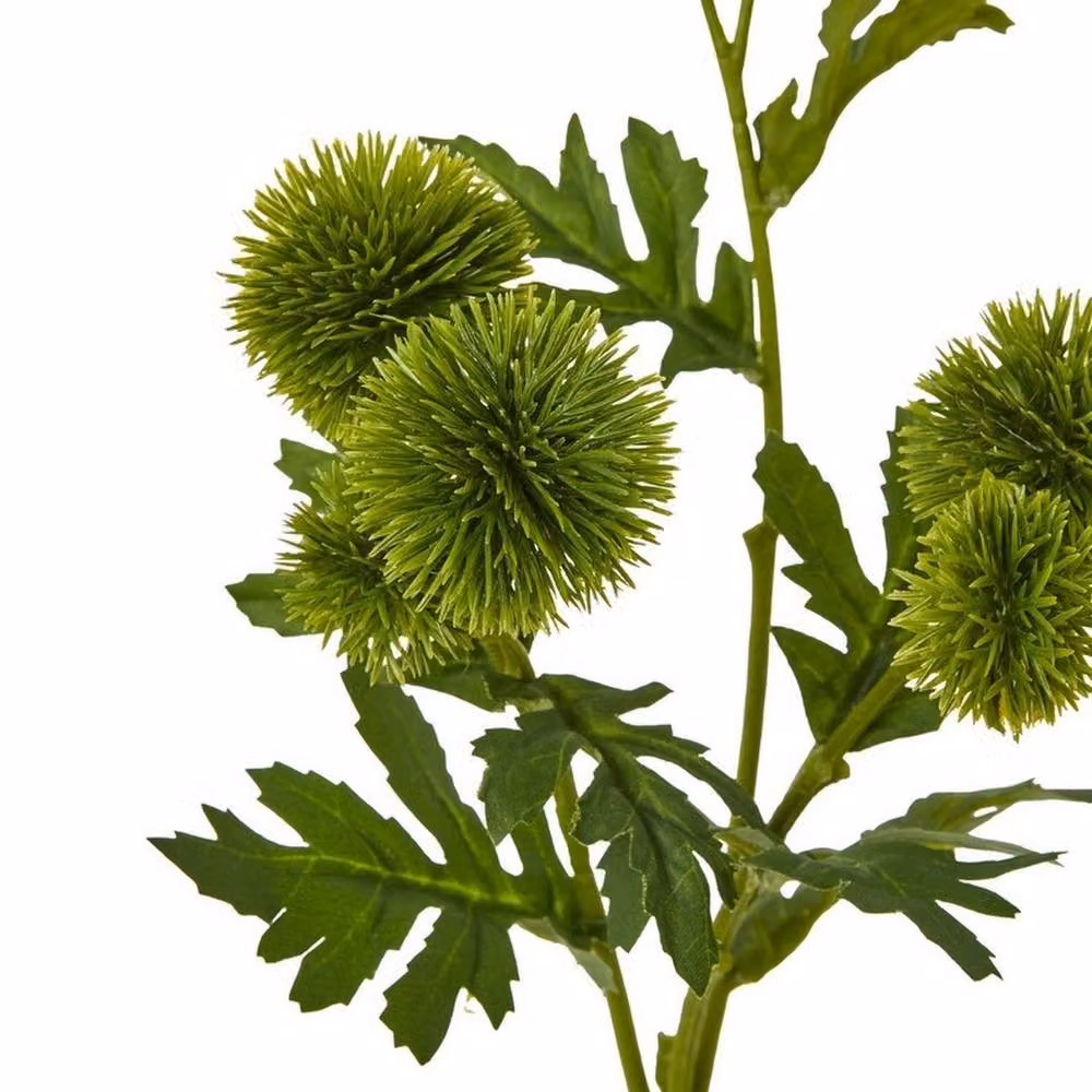 Lemon Pavilion Green Globe Thistle Floral Spray, Height: 56 cm – 2