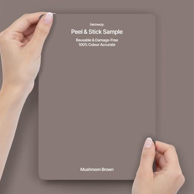 Hemway Interior Paint Sample Peel and Stick Swatch in Mushroom Brown