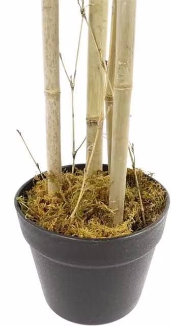 Dyzi Artificial Bamboo Tree with Natural Canes, Green and Black, Height: 120 cm