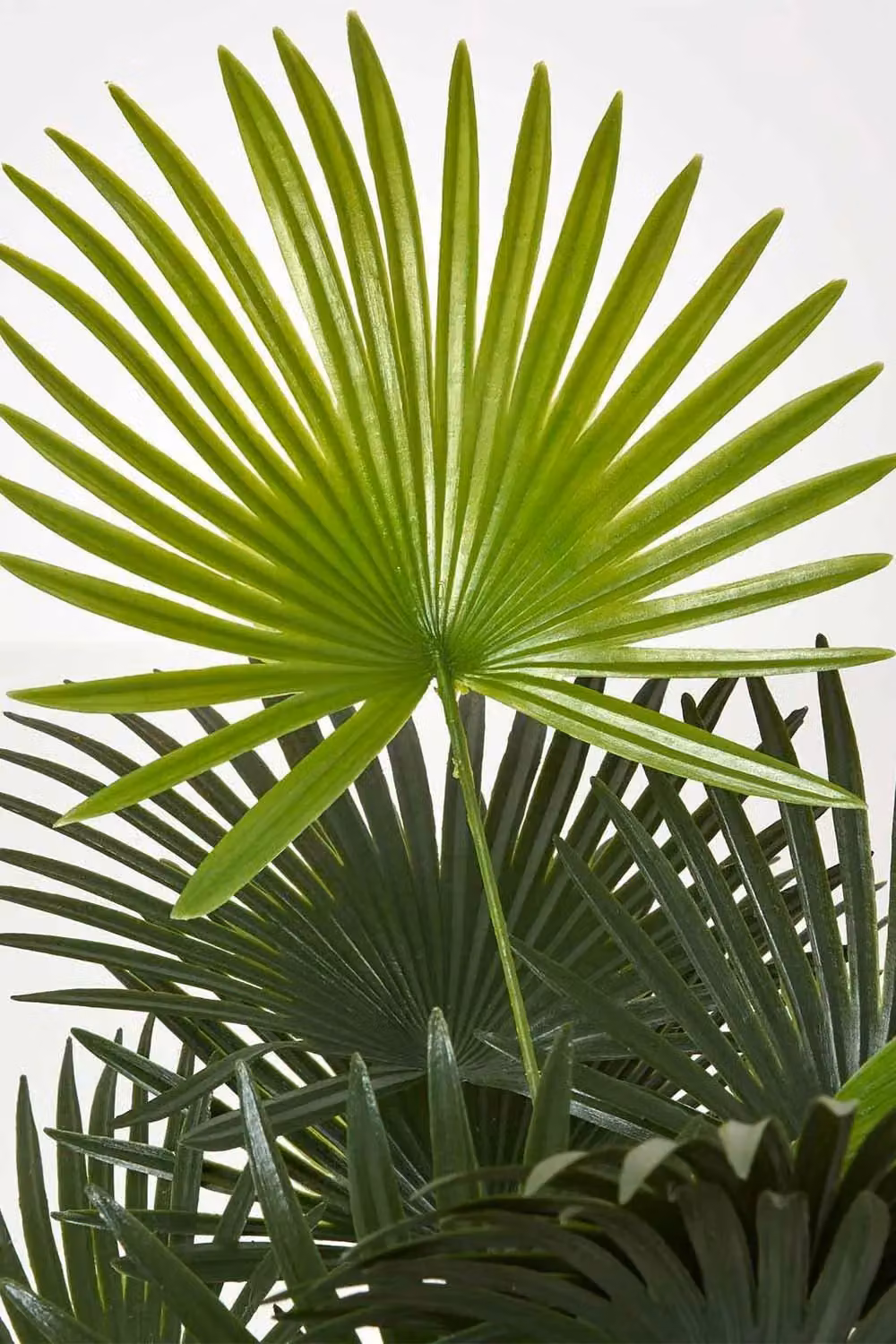 Homescapes Green Artificial Lady Palm Rhapis Tree with Pot, Height: 90 cm – 3