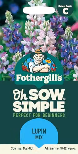 Mr Fothergill's Oh Sow Simple Lupin Mix Flower Seeds, White, Blue and Purple – 1
