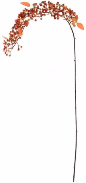 KDMD Glamis Orange Berry Trail Hanging Green Plant, 106 cm