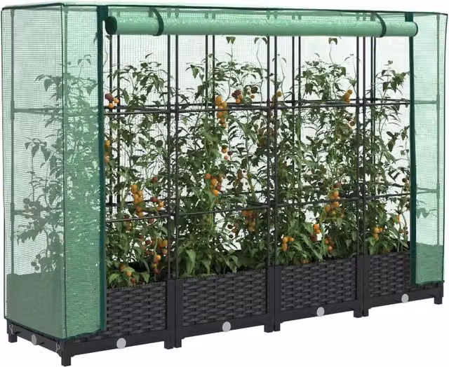 Berkfield Home Raised Bed with Greenhouse Cover in Black Rattan Look, W/D/H: 160 x 40 x 123 cm