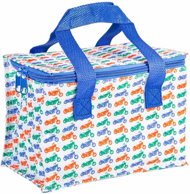 Nicholas Winter Insulated Fabric Lunch Bag in Blue and Multicolour