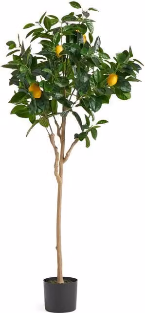 Botanik UK Green Artificial Tree in Black Plastic Pot, Height: 150 cm