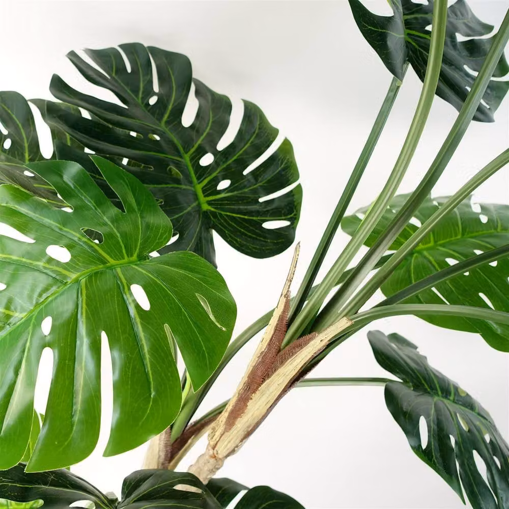 Leaf Design UK Artificial Luxury Monstera Cheese Plant in a Black Pot, Green, Height: 150 cm – 11