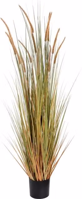 KDMK Rustic Home Accent Field Grass Pot, Green, Height: 152.4 cm