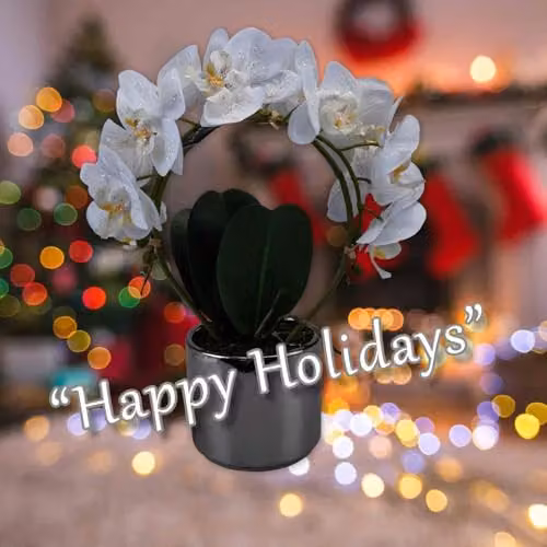 VFM e-Store Phalaenopsis Artificial Orchid Potted Plant in White and Beige, H 36.6 x W 27.5 x D 13.2 cm – 4
