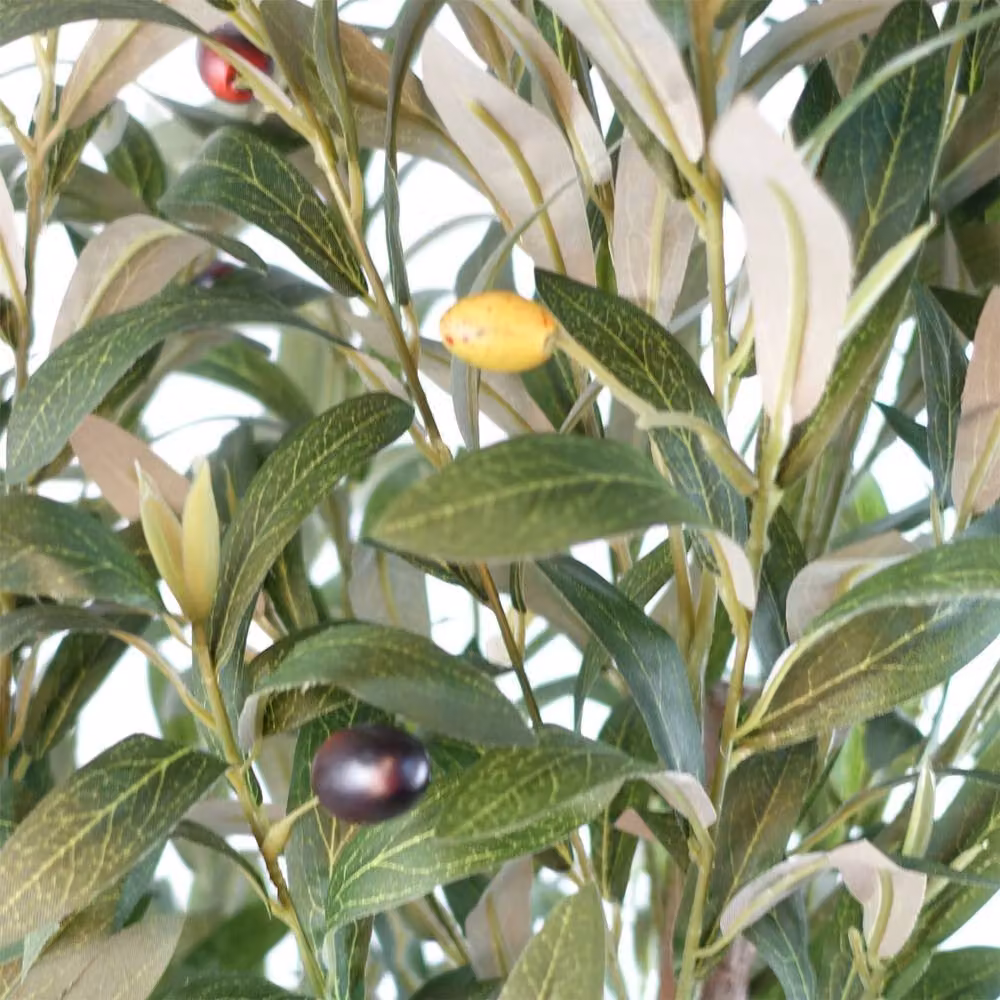 Leaf Botanik Green Artificial Mediterranean Olive Tree in Black Plastic Pot, Height: 120 cm – 4