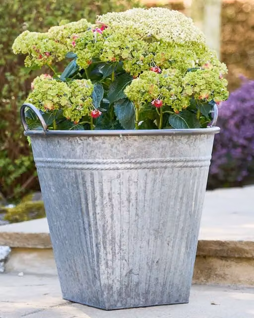 Dibor Grey Vintage Effect Metal Garden Planter with Handle, Dia: 51 cm, H: 46 cm