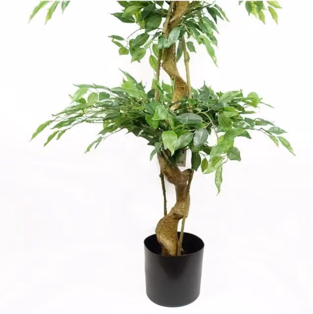Dyzi 180 cm Green Ficus Triple Ball Topiary Tree with Black Plastic Stand