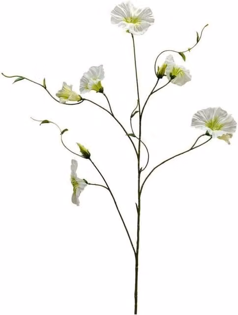 KDMD Botanica Cream Liseron Floral Tabletop Decor, White, 2 Pack, Height: 107 cm