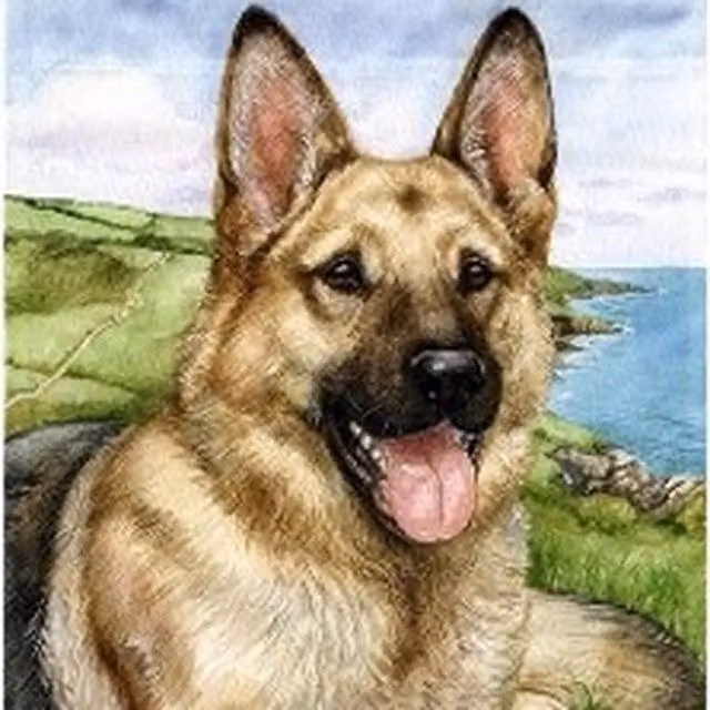 Syntego German Shepherd Diamond Painting Kit in Multicolour and Yellow