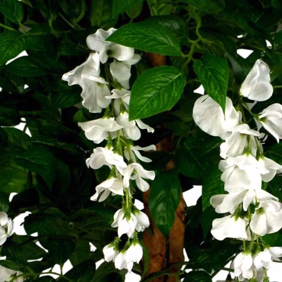 Leaf 130cm Luxury Artificial Wisteria Tree with White Flowers and Silver Planter in Green – 2